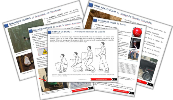 10 free safety topics